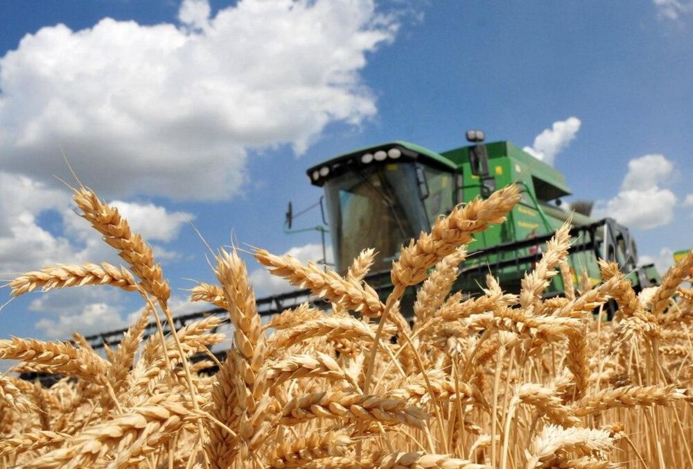 Венгрия предлагает Украине помощь в экспортировании зерна Венгрия предлагает Украине помощь в экспортировании зерна