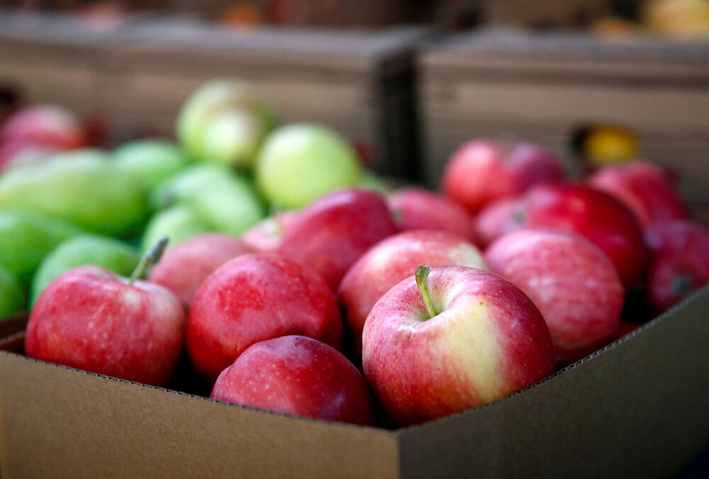 Вред и польза яблок: мнение диетологов
