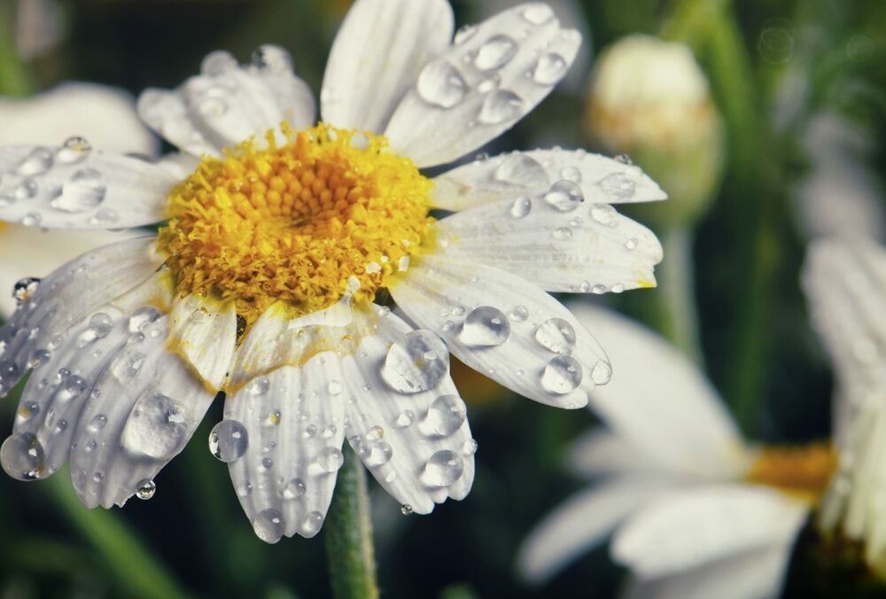 Прогноз погоды: в Украину возвращаются грозы