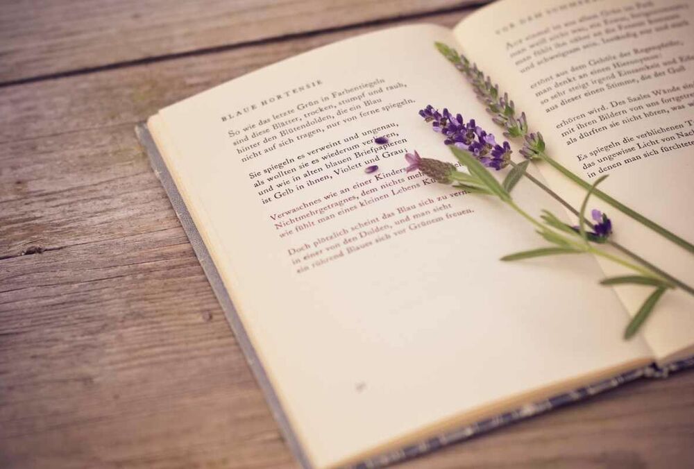 Полезная рифма: как чтение поэзии влияет на мозг Полезная рифма: как чтение поэзии влияет на мозг