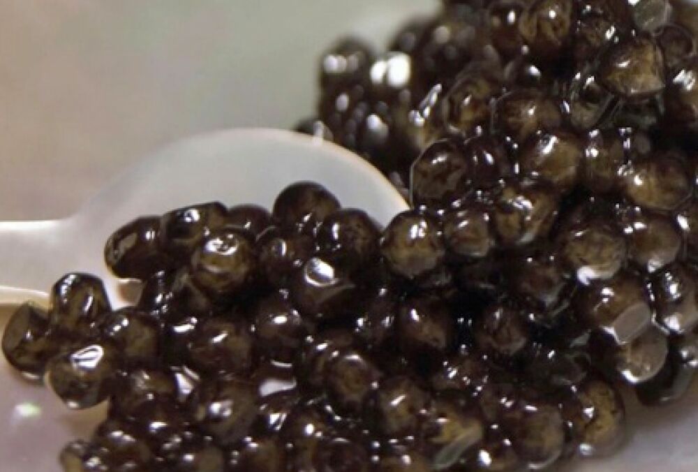  Україна готується експортувати чорну ікру до Саудівської Аравії