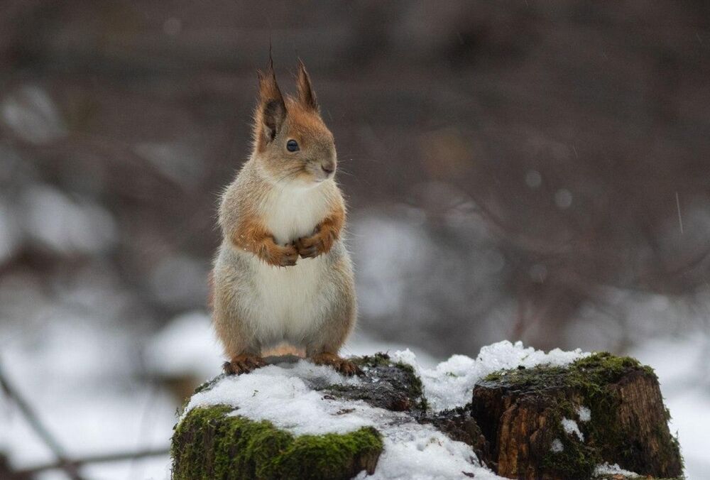Киян попередили про серйозні зміни у погоді: до чого варто готуватися 
