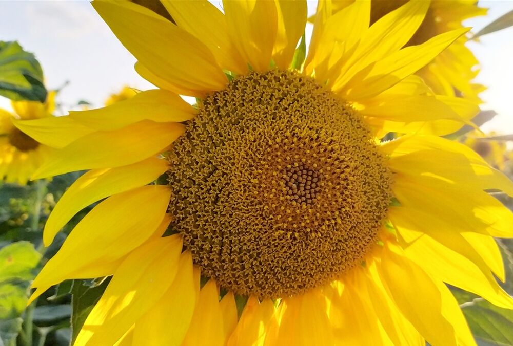 Прогноз погоды в Украине: синоптики предупредили о грозах