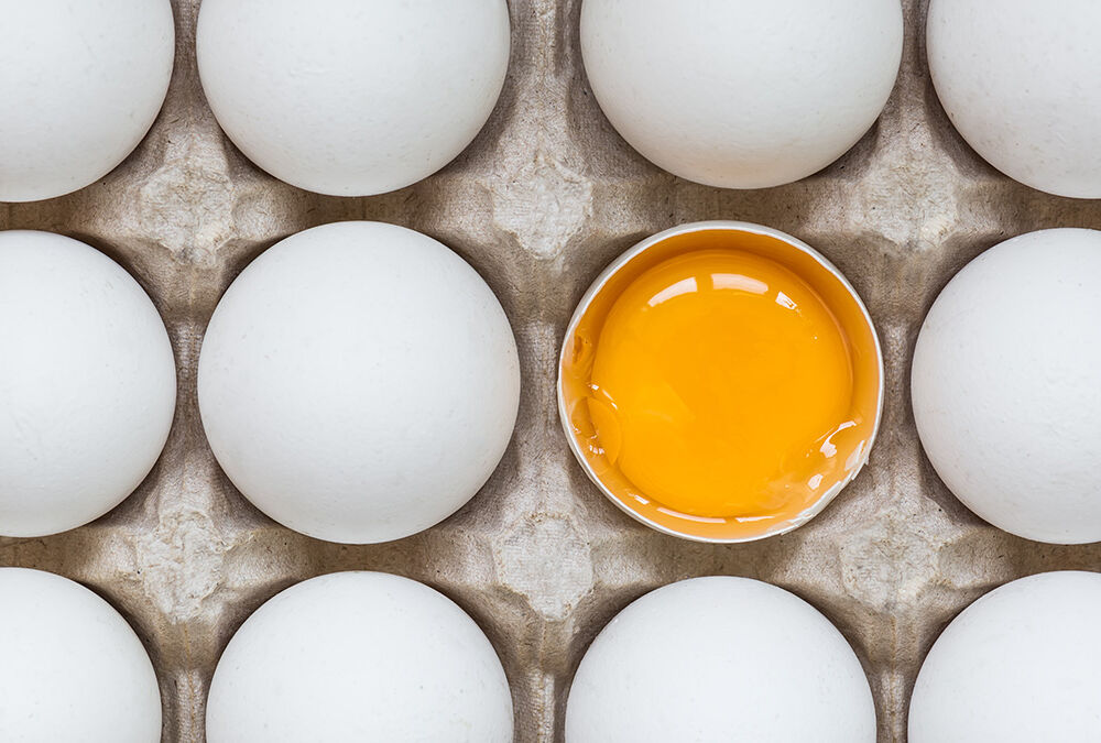 Євросоюз повернув квоти на яйця та цукор з України