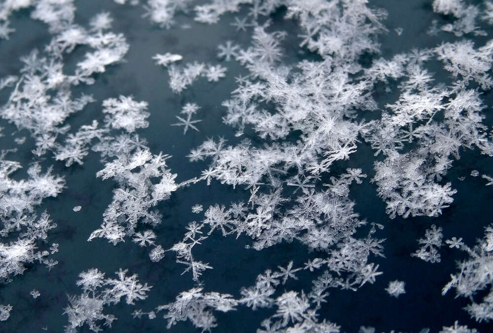 Сніжний прогноз: в які регіони України увірветься зима