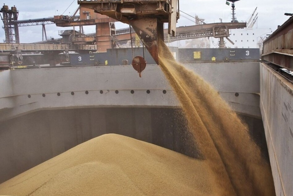 Оккупанты вывозят через Мариуполь украденное украинское зерно