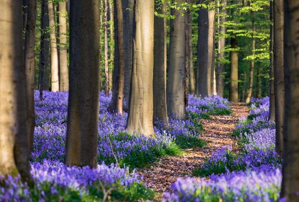 Теплий прогноз: погода в Україні 12 квітня