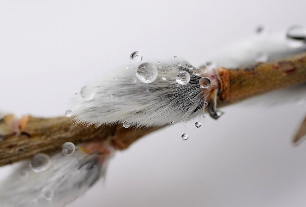 Дожди остались позади: прогноз погоды в Украине