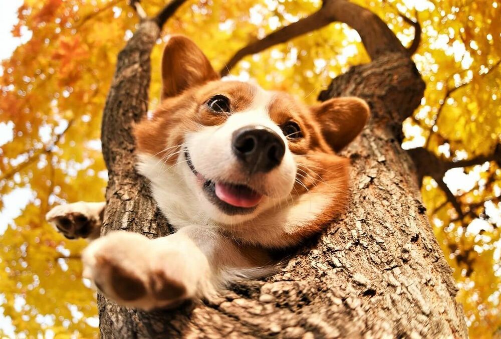 Знову бабине літо: синоптики розповіли, якою буде погода в неділю