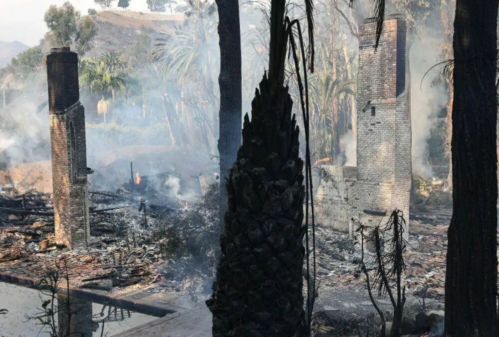 Шер и Дик Ван Дайк бежали из своих домов из-за лесных пожаров в Калифорнии