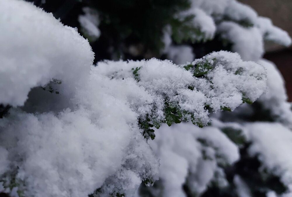 Україну на вихідних накриють десятиградусні морози