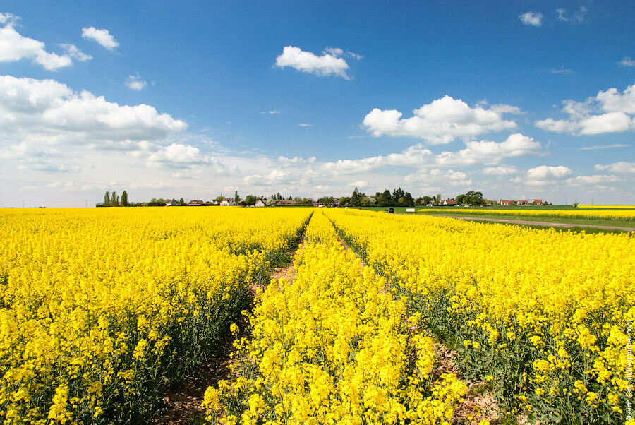 Выходные в июне и календарь церковных праздников