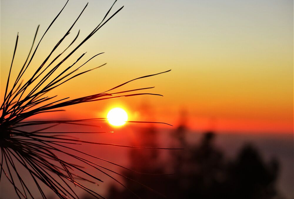 Погода 4 грудня: в Україну йде потепління