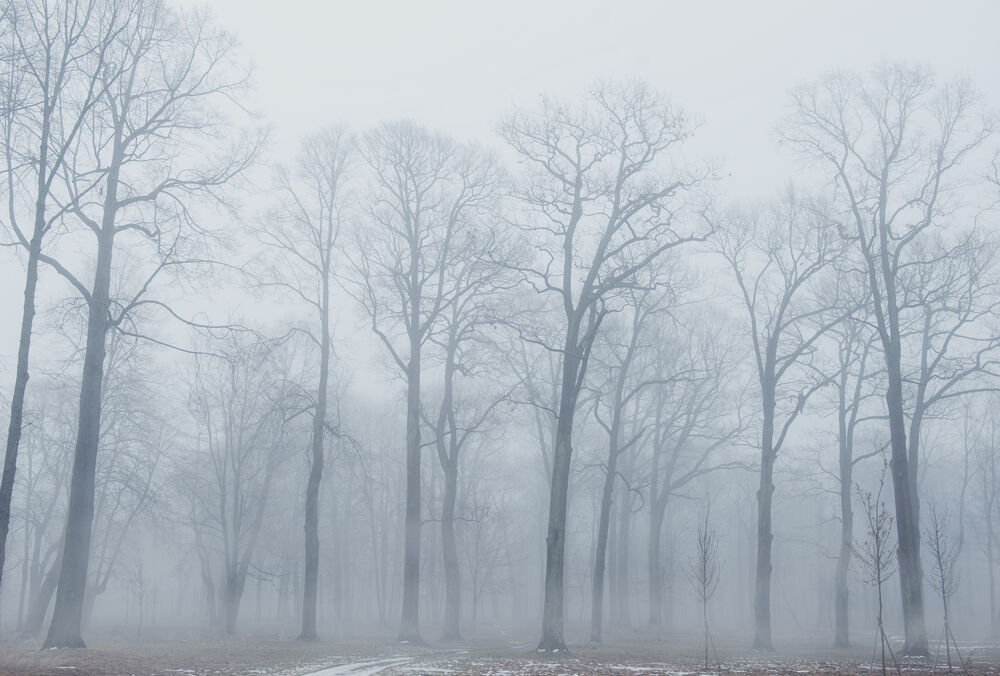 Морозы отступают: где в Украине сегодня будет теплее всего