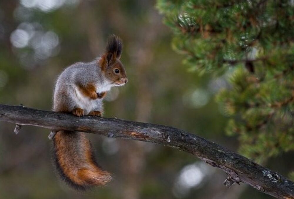 Прогноз для Украины: где синоптики обещают солнечную погоду