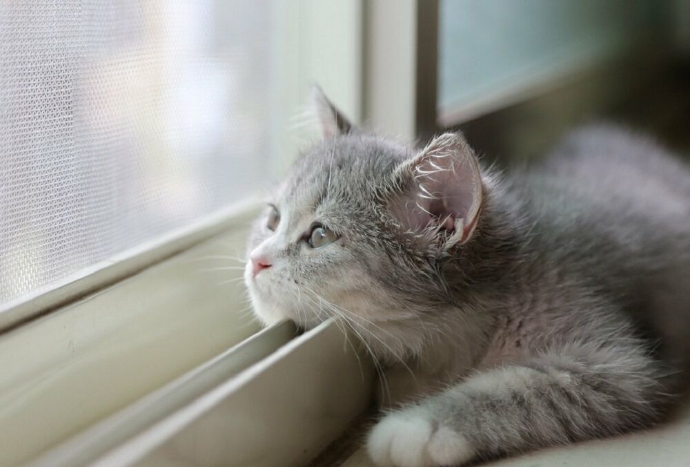 В Україну прийшло потепління: прогноз погоди на 21 лютого