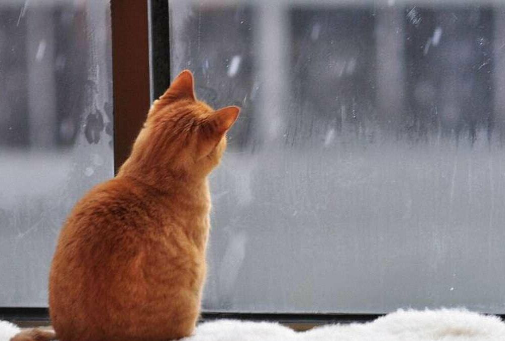 Погода в Україні: потепління прийде разом з сильними дощами