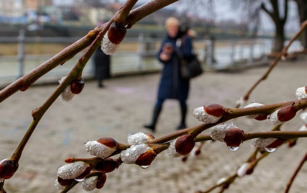 Дощі повертаються: прогноз погоди в Україні