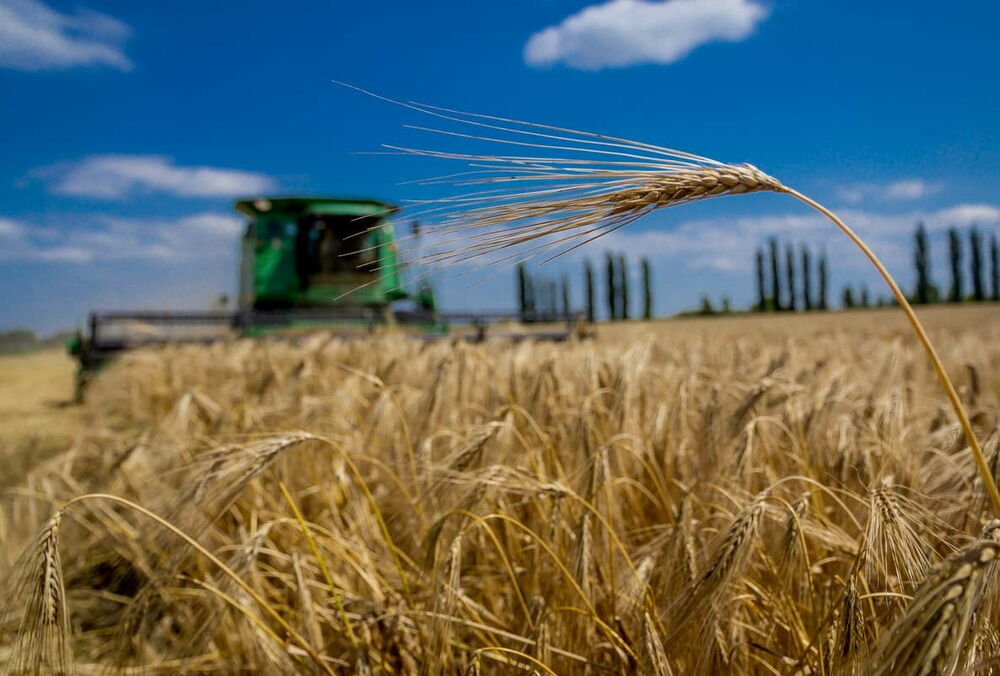 Украина оказалась среди главных поставщиков агропродукции в ЕС