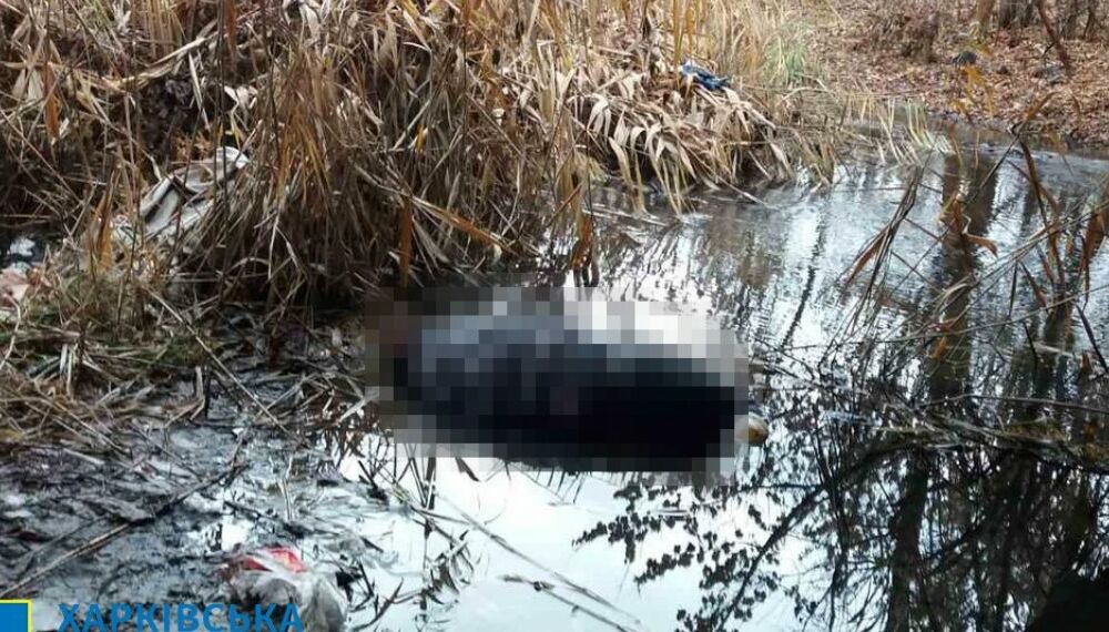  В Харькове после спора мужчина убил своего собеседника и выбросил его тело под мост