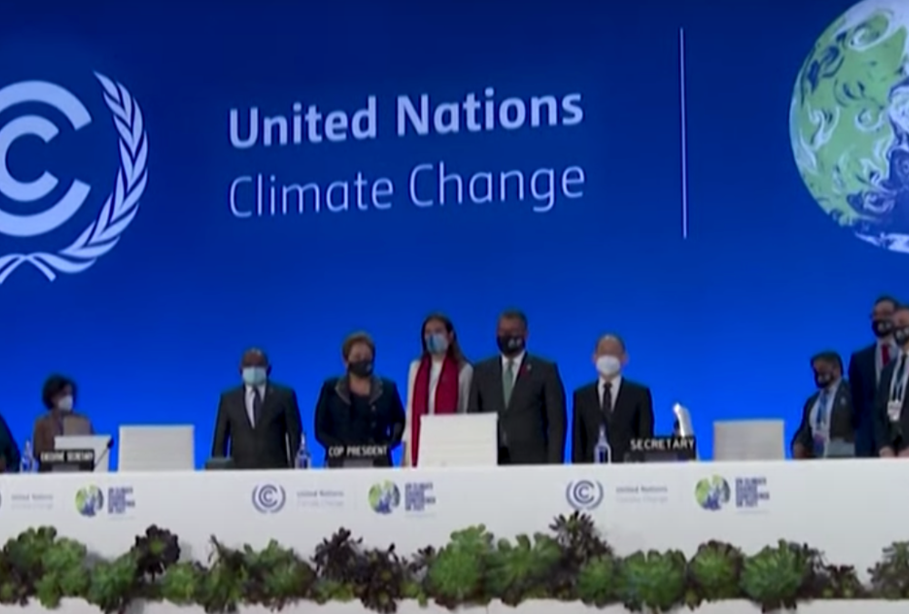 Климатический саммит в Глазго COP26: проблему вырубки лесов решат до 2030 года Климатический саммит в Глазго COP26: проблему вырубки лесов решат до 2030 года