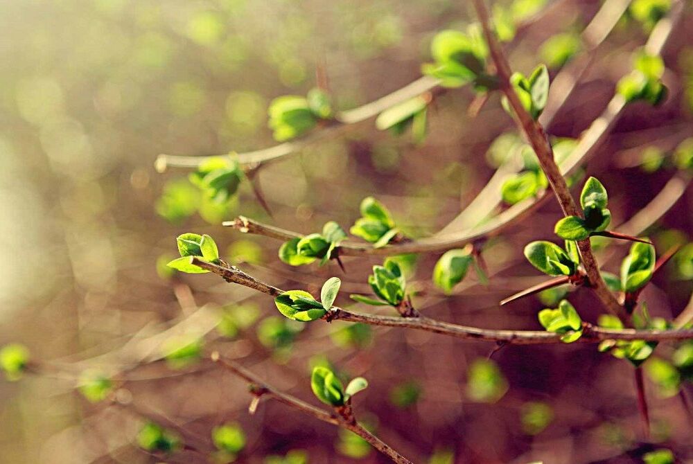 Погода в Украине: синоптики обещают грозы Погода в Украине: синоптики обещают грозы