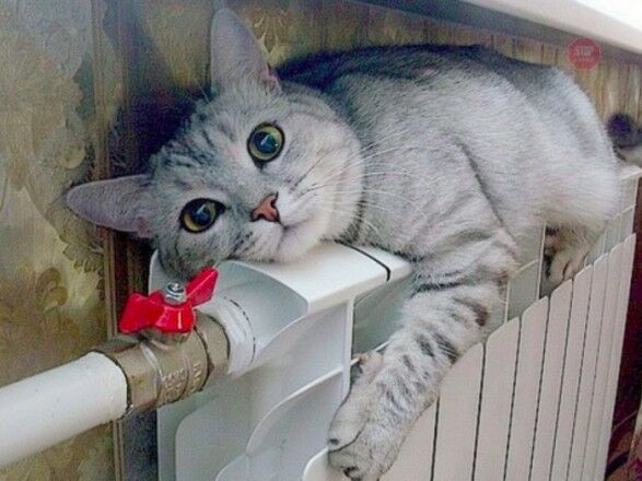 ”Нафтогаз” объявил о старте отопительного сезона во всей Украине