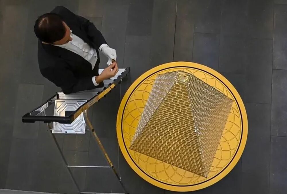 В Германии установили самую дорогую в мире рождественскую елку: фото