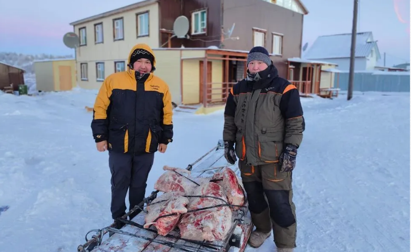В Якутии семьям мобилизованных раздают оленину В Якутии семьям мобилизованных раздают оленину