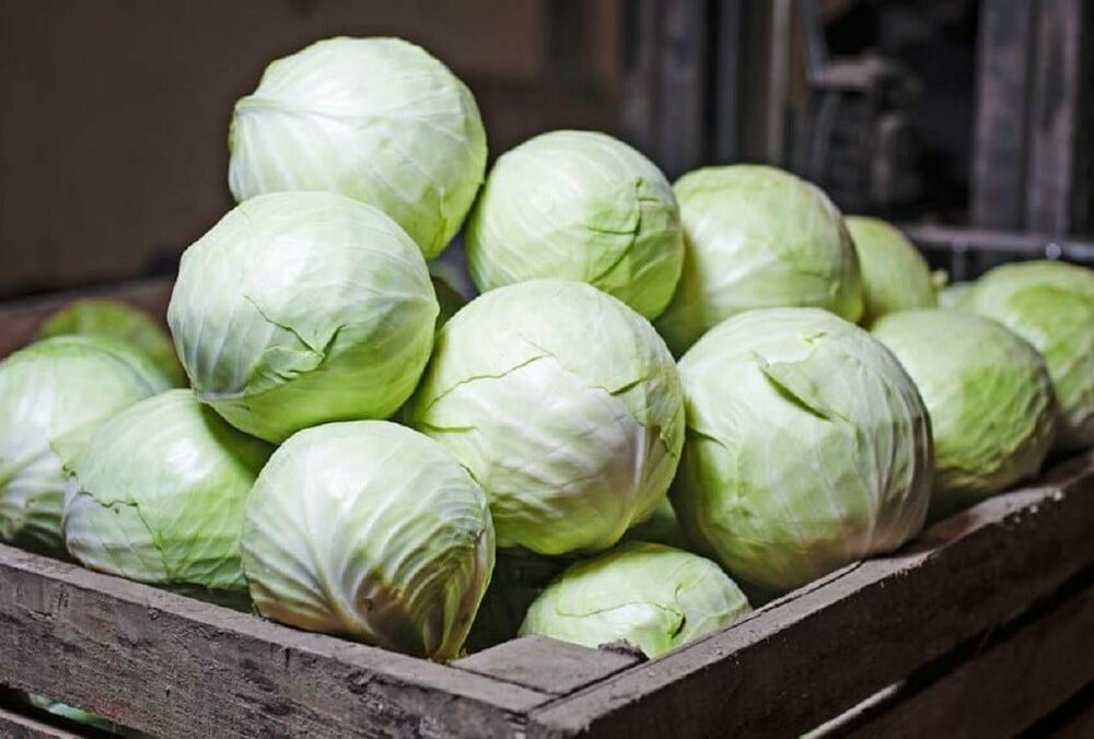 В Украине дорожает капуста: названа причина