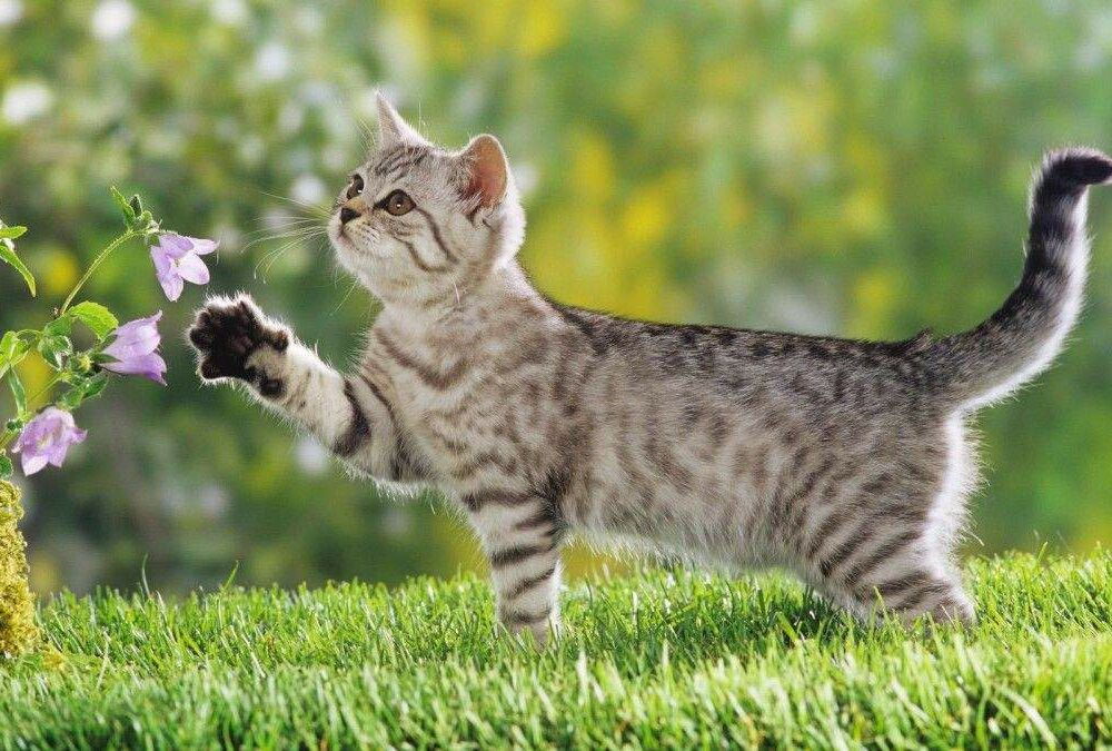 Жара усиливается: прогноз погоды для Украины Жара усиливается: прогноз погоды для Украины