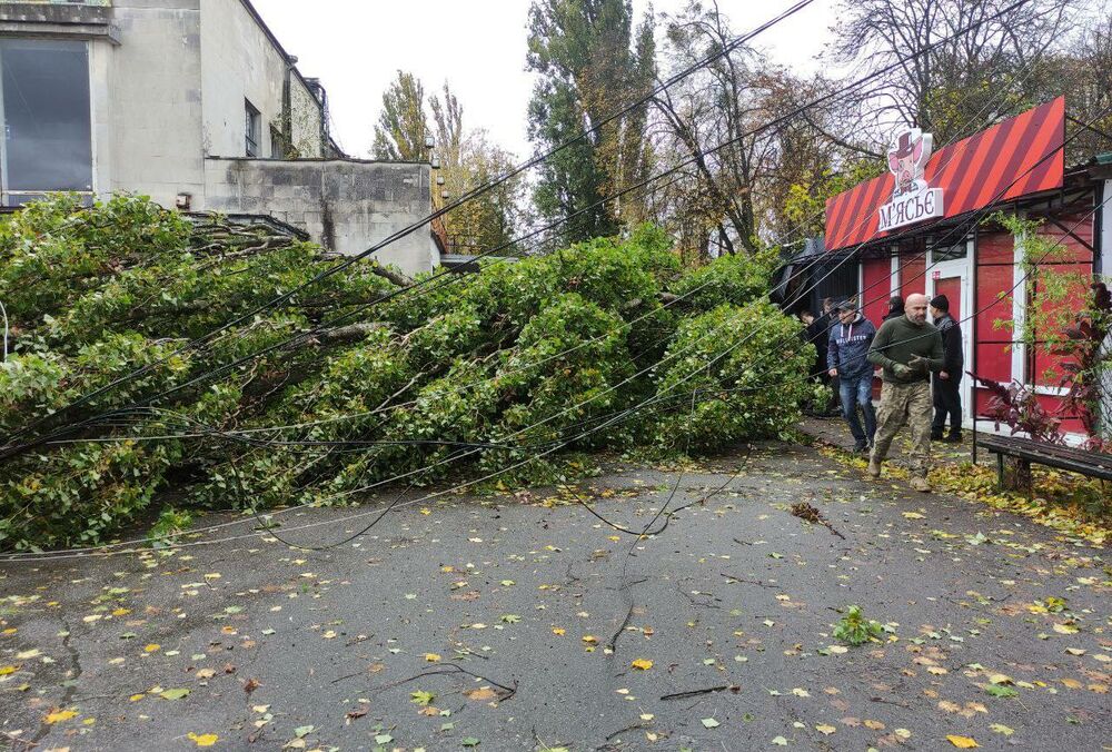 Ураган в Киеве: местные власти отчитались о последствиях