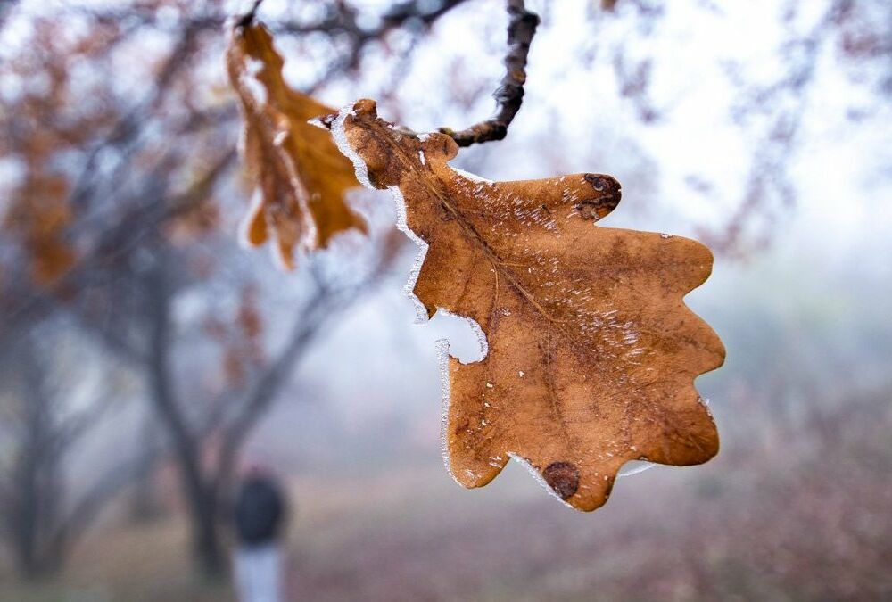 Погода в Украине: когда ждать серьезного похолодания