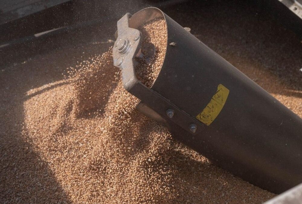 Запасы зерна в мире упали до рекордного минимума из-за войны в Украине 