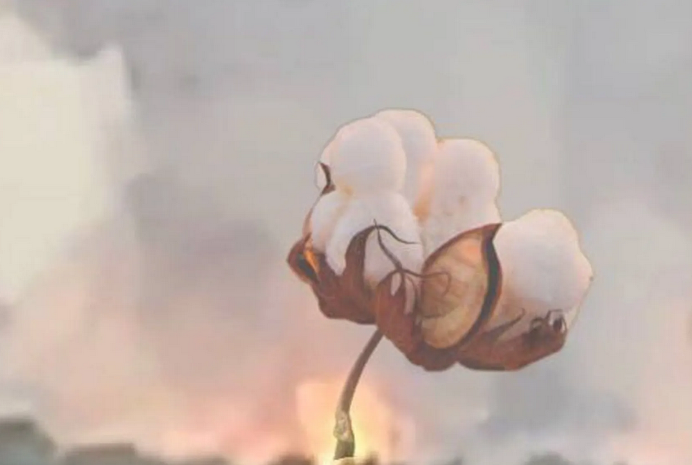 В Мариуполе оккупанты подняли боевую авиацию после прилета по складу боеприпасов в порту