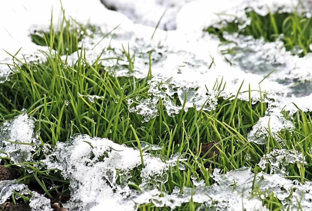 Снег, ветер и гололед: погода в нескольких областях Украины снова ухудшится