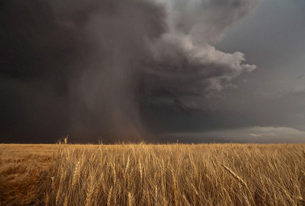 Шквали з грозами та дощі: синоптики озвучили прогноз погоди на найближчі дні