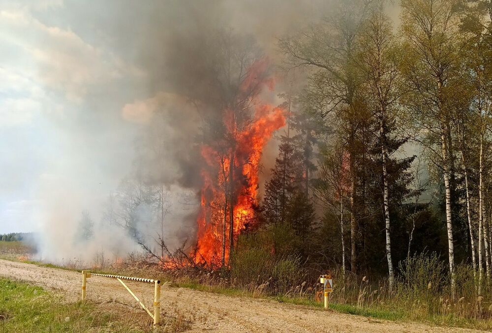 В Эстонии вспыхнул масштабный пожар на военном полигоне