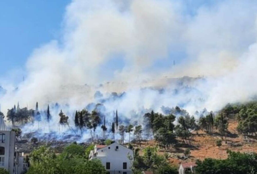Лесные пожары добрались до Черногории
