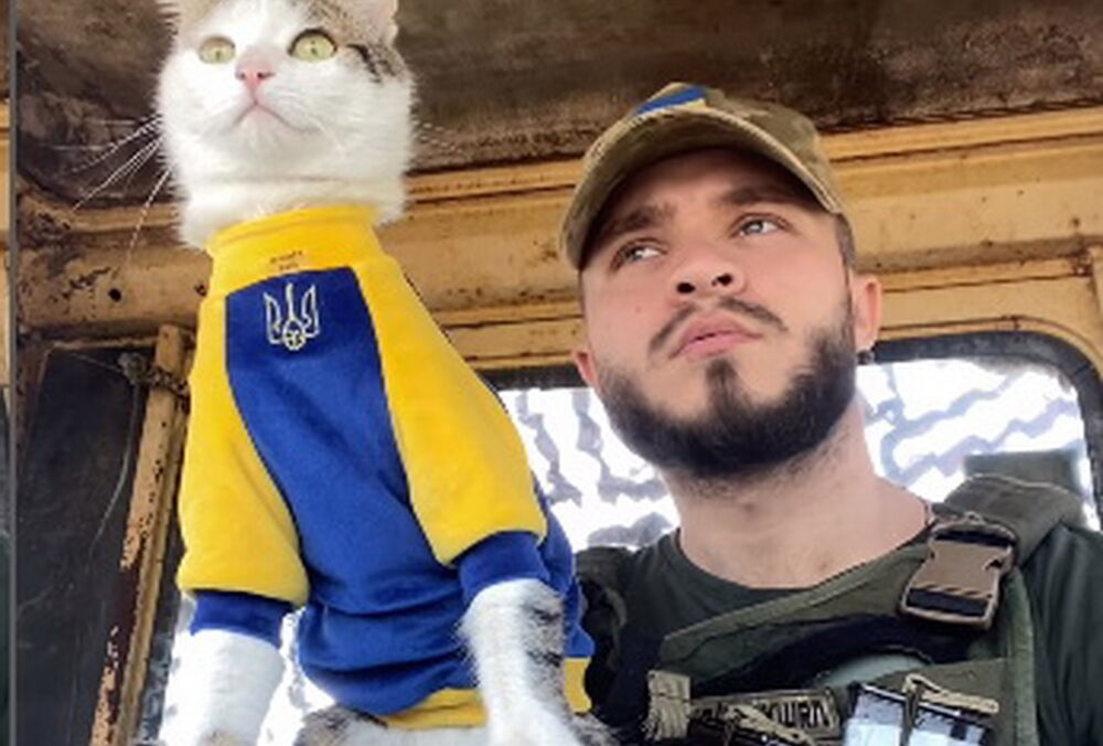 Зник легендарний військовий кіт Шайба (фото)