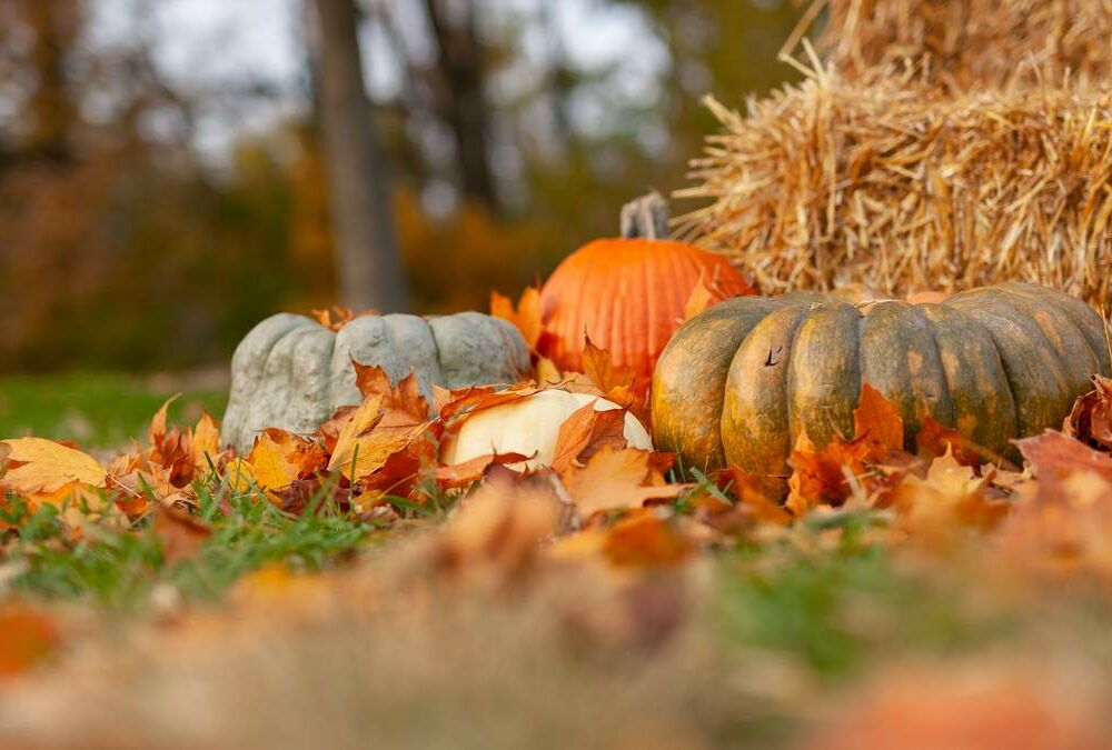 Сонце та заморозки: погода в Україні 27 жовтня