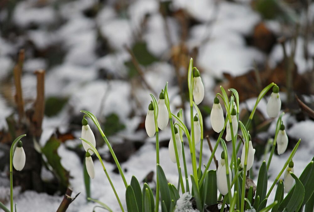Погода на вихідних: прогноз синоптиків для України