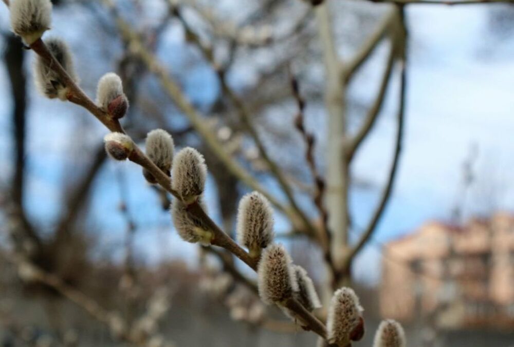 Прогноз погоди в Україні: коли чекати похолодання