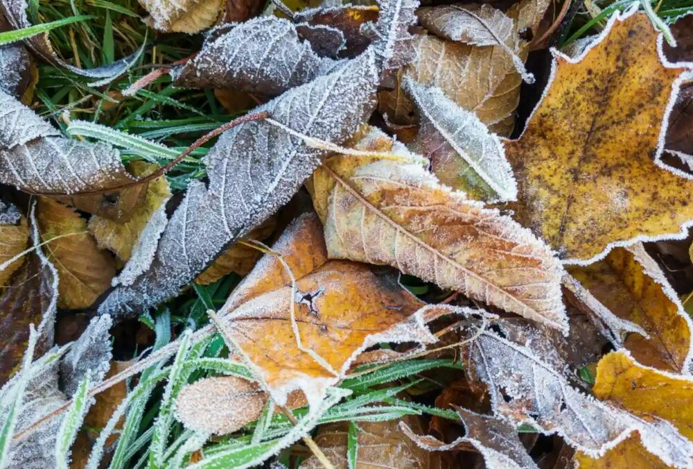 В Украину идет похолодание: синоптик назвала дату заморозков