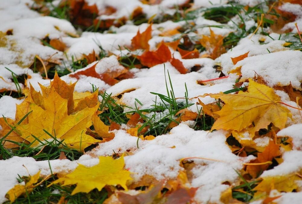 Прогноз погоди: де очікується сніг
