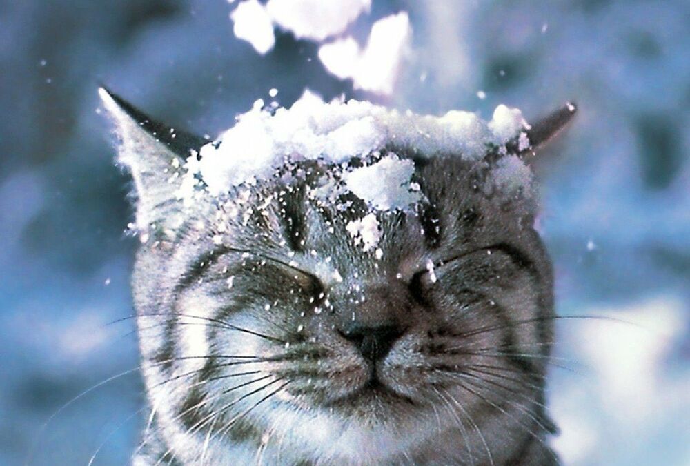 Погода в Украине: где ждать снега