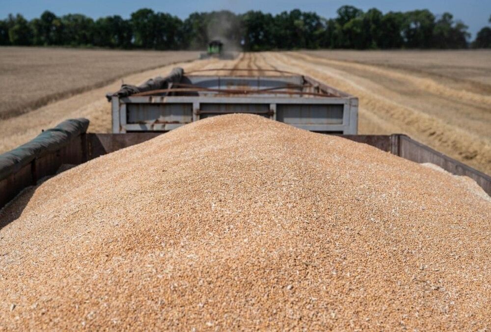 Украине не удалось отправить аграрную продукцию в Эфиопию в связи с выходом РФ из зернового соглашения 