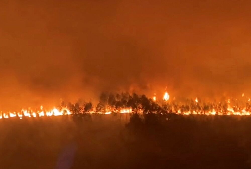 Францію охопили масштабні лісові пожежі