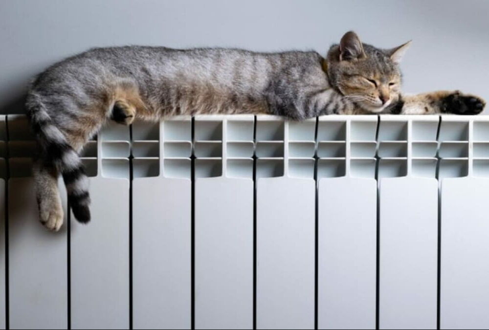 В ”Нафтогазе” предупредили украинцев о самой холодной зиме за последние десятилетия 