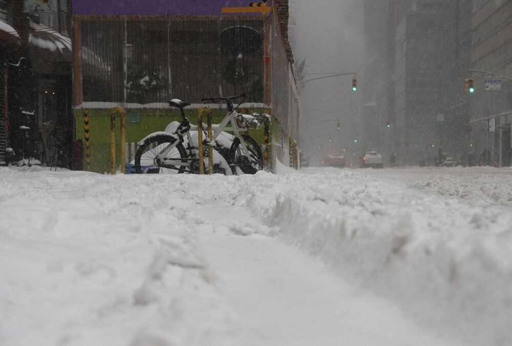 Не менее 19 человек в США стали жертвами погодного апокалипсиса 